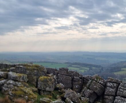 WhatsApp Image 2025 04 24 at 20.42.26 67c1d4fc