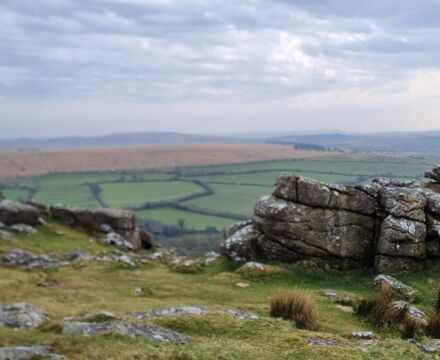 WhatsApp Image 2025 04 24 at 20.42.26 b3d21f62