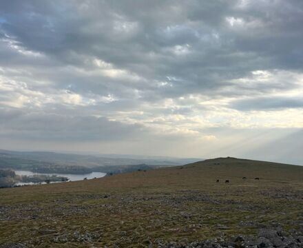 WhatsApp Image 2025 04 24 at 20.42.27 21bd3861