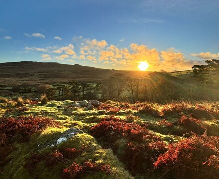 600908523 1449198970541328 7567575791709372286 n