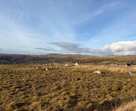 WhatsApp Image 2026 01 22 at 10.29.54 (2)